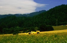 Ayrton Senna Lotus 99T 5th