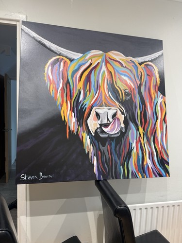 Steven brown highland - brown, cow