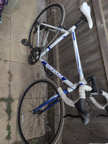 Barracuda corvus 200 mens road - 200,