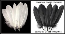 NATURAL GOOSE FEATHERS~BLACK