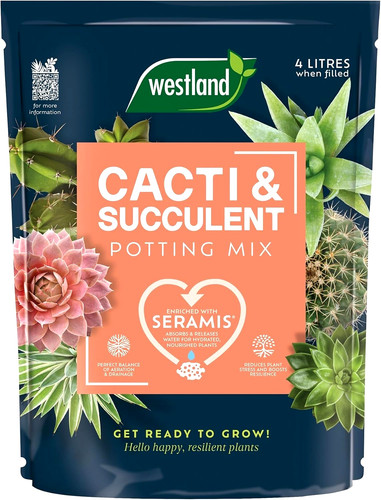 Westland cacti succulent - cacti,