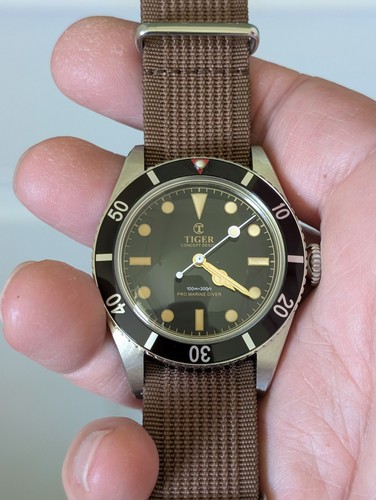 Tiger concept pro marine - tiger, diver