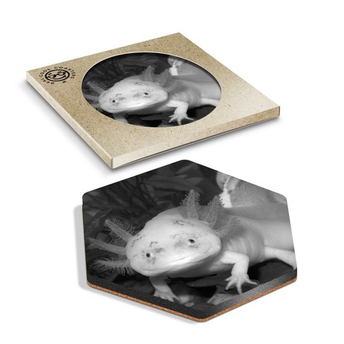 Hexagon coaster bw - -,