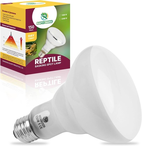 Reptile heat lamp - reptile,