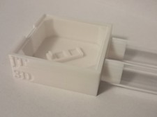 Mini Ant Outworld | Small Ant