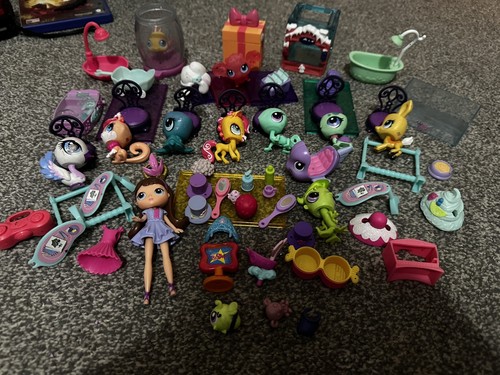 Huge littlest pet shop - huge,