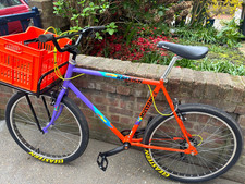 Raleigh Mustang Large Steel