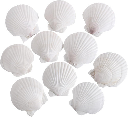 Pcs inch natural white - 10,