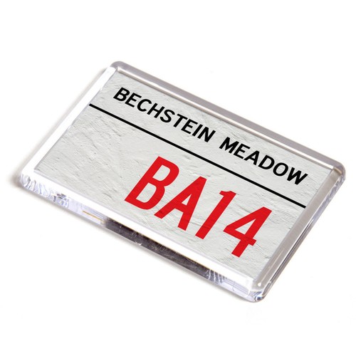 Fridge magnet bechstein - magnet,