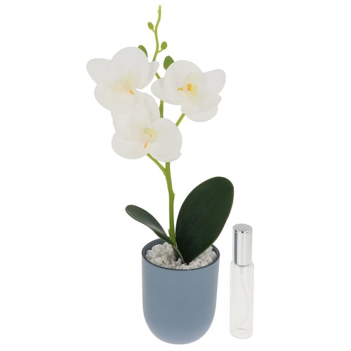 Shudehill giftware - shudehill,