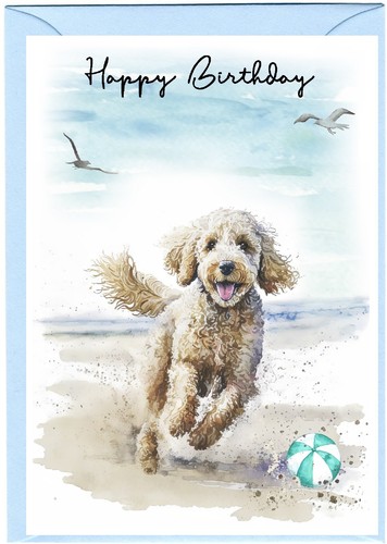 Labradoodle doodle dog - /,