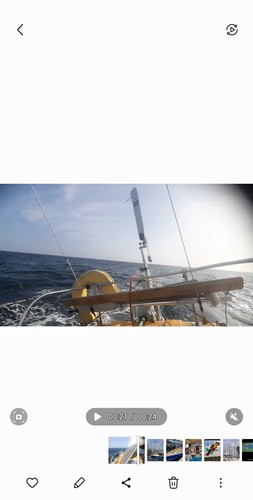 Sea feather wind - vane, steering
