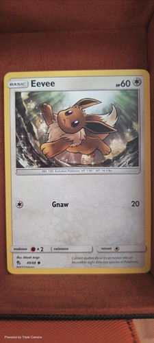 Eevee hidden fates - hidden,