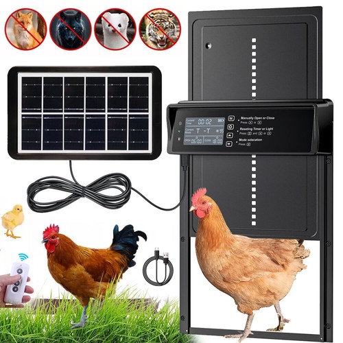 Automatic chicken coop door - chicken,