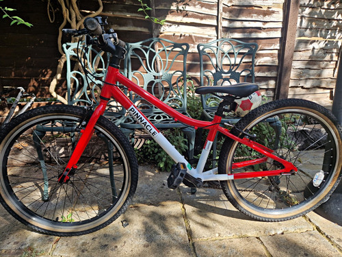 Pinnacle aspen kids bike - pinnacle, 24