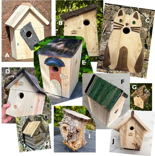 Bird houses - bird, (nesting