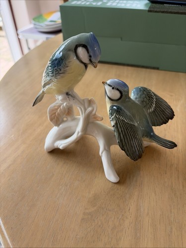 Karl ens blue tit - ens, pair
