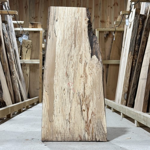 Spalted beech plank board - beech,