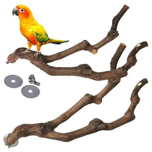 Wooden parrot bird - wooden,