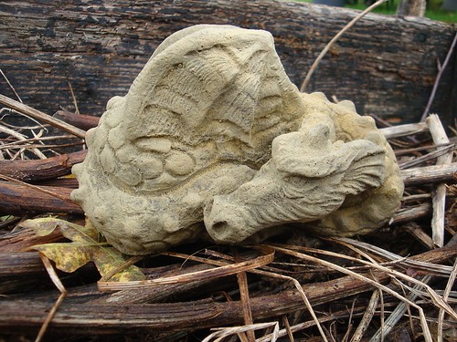 Baby dragon small mythical - baby,