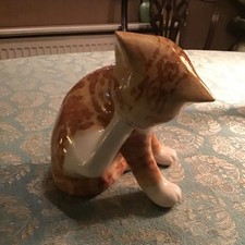 WINSTANLEY SIZE 3 GINGER CAT-