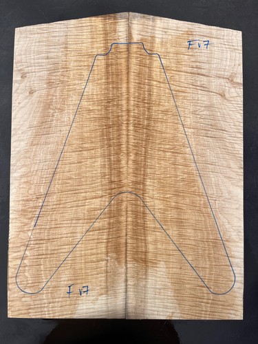 Curly sycamore maple - sycamore, flying
