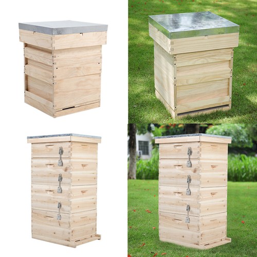 Wooden langstroth beehive - langstroth,