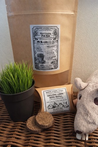 Indoor grazing pot - grazing, kit