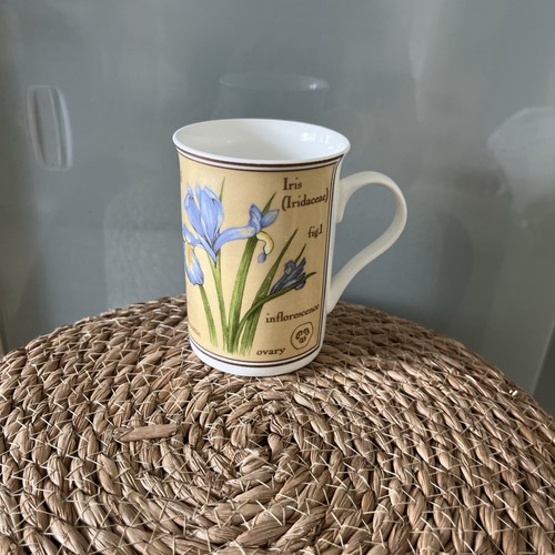 Crown trent china - crown, ltd-iris