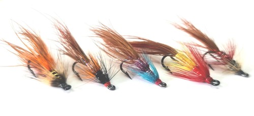 Irish shrimp salmon doubles - irish,