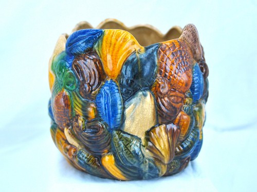 Unusual shell sea life - unusual,