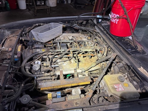 1989 jaguar xjs engine - 1989,