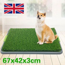 Large Dog Toilet Mat Indoor