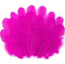 Soarer 300pcs Fuchsia Feathers