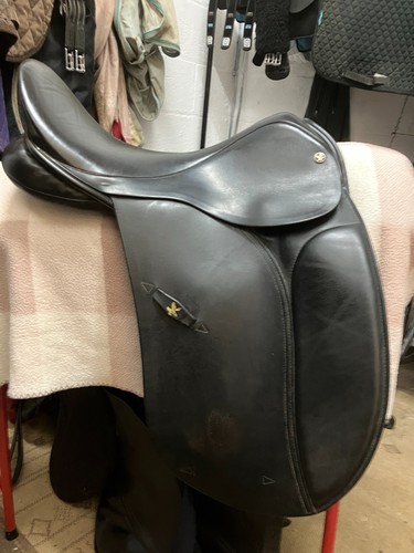 Jeffries falcon dressage - jeffries,