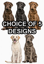 Labrador Retriever Self