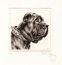 NEAPOLITAN MASTIFF DOG FINE