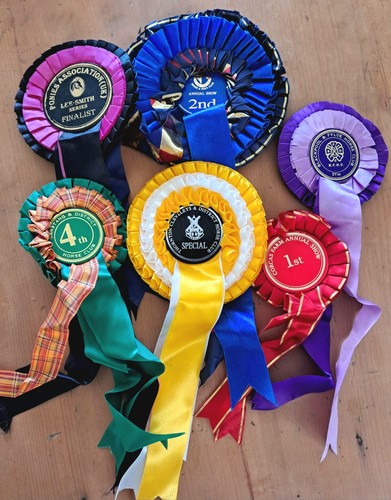 Vintage horse riding trophies - vintage,