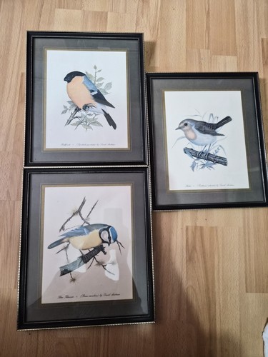 Set framed bird prints - framed, by