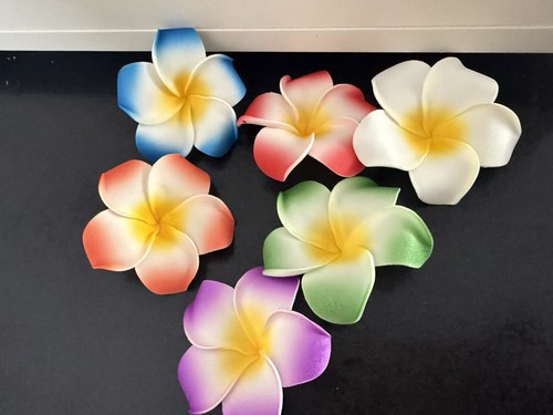 Hawaiian frangipani - 6x,