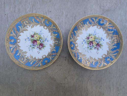 Pair antique sèvres - pair,