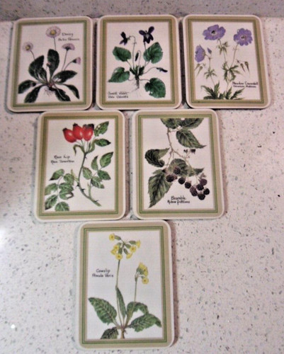 Taunton vale wild flower - 6,