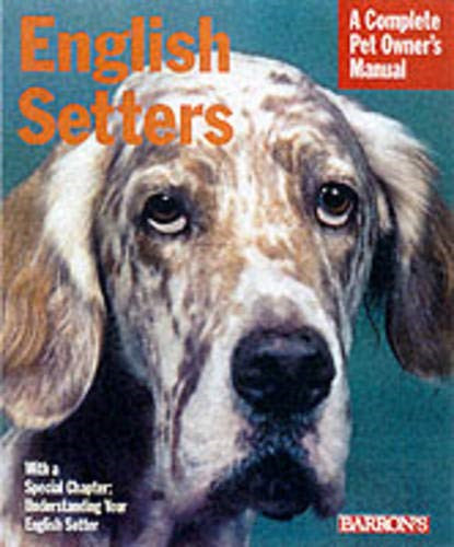 English setters pet - setters, (pet