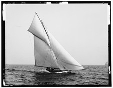 Shark,yachts,boats,ships,saili