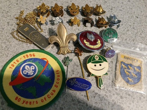 Vintage boy scouts enamel - scouts,