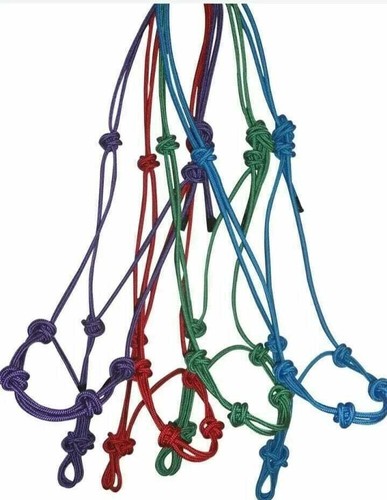 Horse rope halter control - halter,