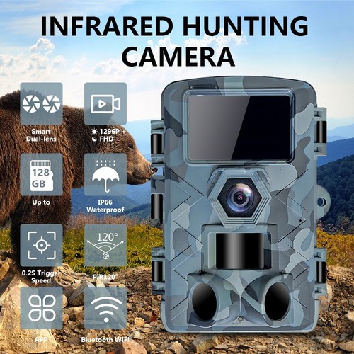 Wildlife hunting trail camera - wildlife,