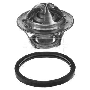 Borg beck thermostat kit for - thermostat,