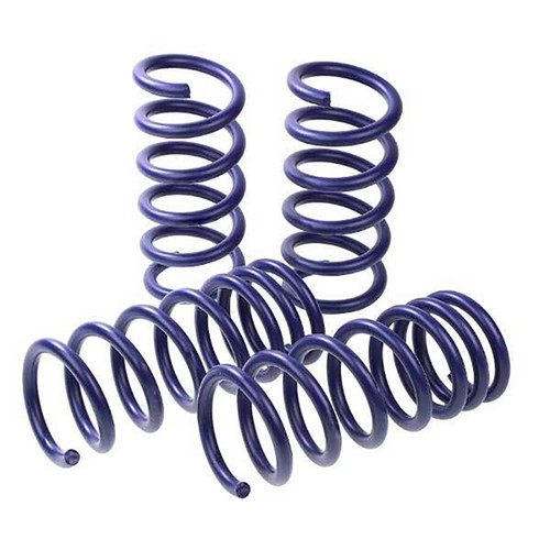 981445381 rear lowering - h&r,
