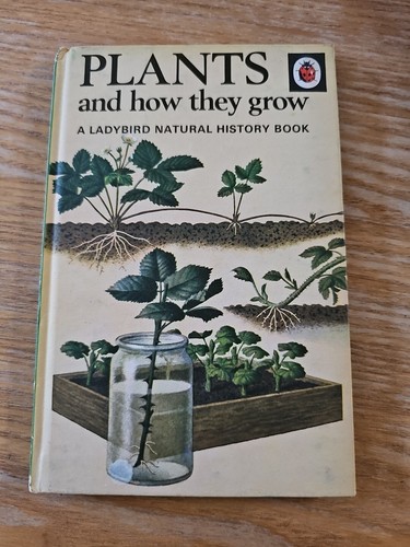 Vintage ladybird book - vintage, series